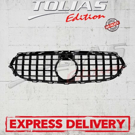 GRILLE TYPE GT PANAMERICANA