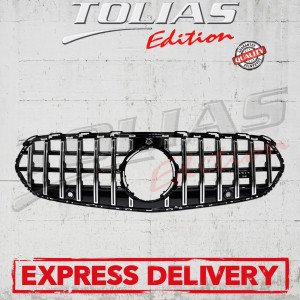 GRILLE TYPE GT PANAMERICANA