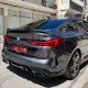 LIP SPOILER TYPE M