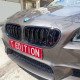 GRILLE TYPE M PERFORMANCE