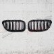 GRILLE TYPE M PERFORMANCE