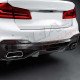 DUAL EXHAUST TIPS TYPE M
