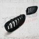 GRILLE TWIN BAR TYPE M PERFORMANCE