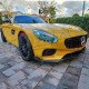 GRILLE TYPE GT (Panamericana)