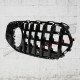 GRILLE TYPE GT PANAMERICANA
