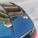 LIP SPOILER