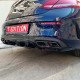 EXHAUST TIPS TYPE 63S AMG
