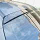 ROOF SPOILER