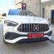 GRILLE TYPE GT (Panamericana) for AMG Bumper