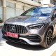 GRILLE TYPE GT (Panamericana) for AMG Bumper