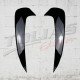 REAR CANARDS