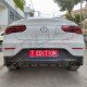 EXHAUST TIPS TYPE 43 AMG 