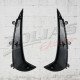 REAR CANARDS