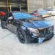 GRILLE TYPE GT (Panamericana) for Genuine E63 AMG FRONT BUMPER