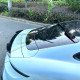 LIP SPOILER