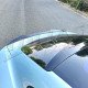 LIP SPOILER